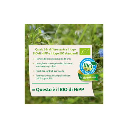 Hipp Frutta Frullata Mela, Banana e Fragola dal 6 Mese 90gr